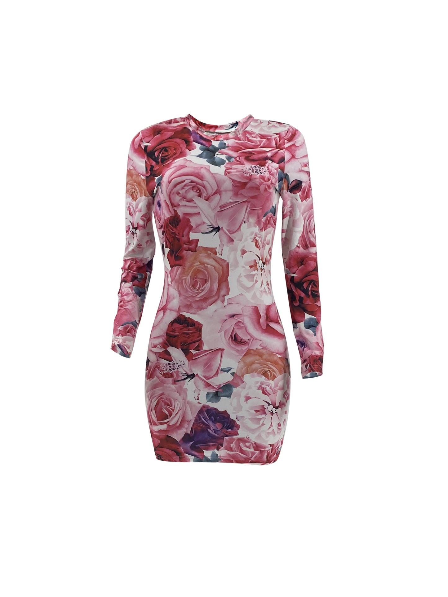 Floral Print Crew Neck Dress, Elegant Long Sleeve Bodycon Dress For Spring & Fall, Women's Clothing