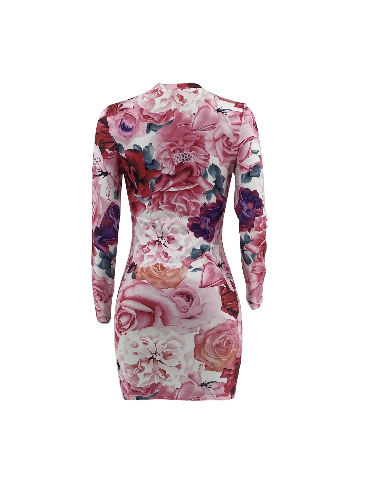 Floral Print Crew Neck Dress, Elegant Long Sleeve Bodycon Dress For Spring & Fall, Women's Clothing